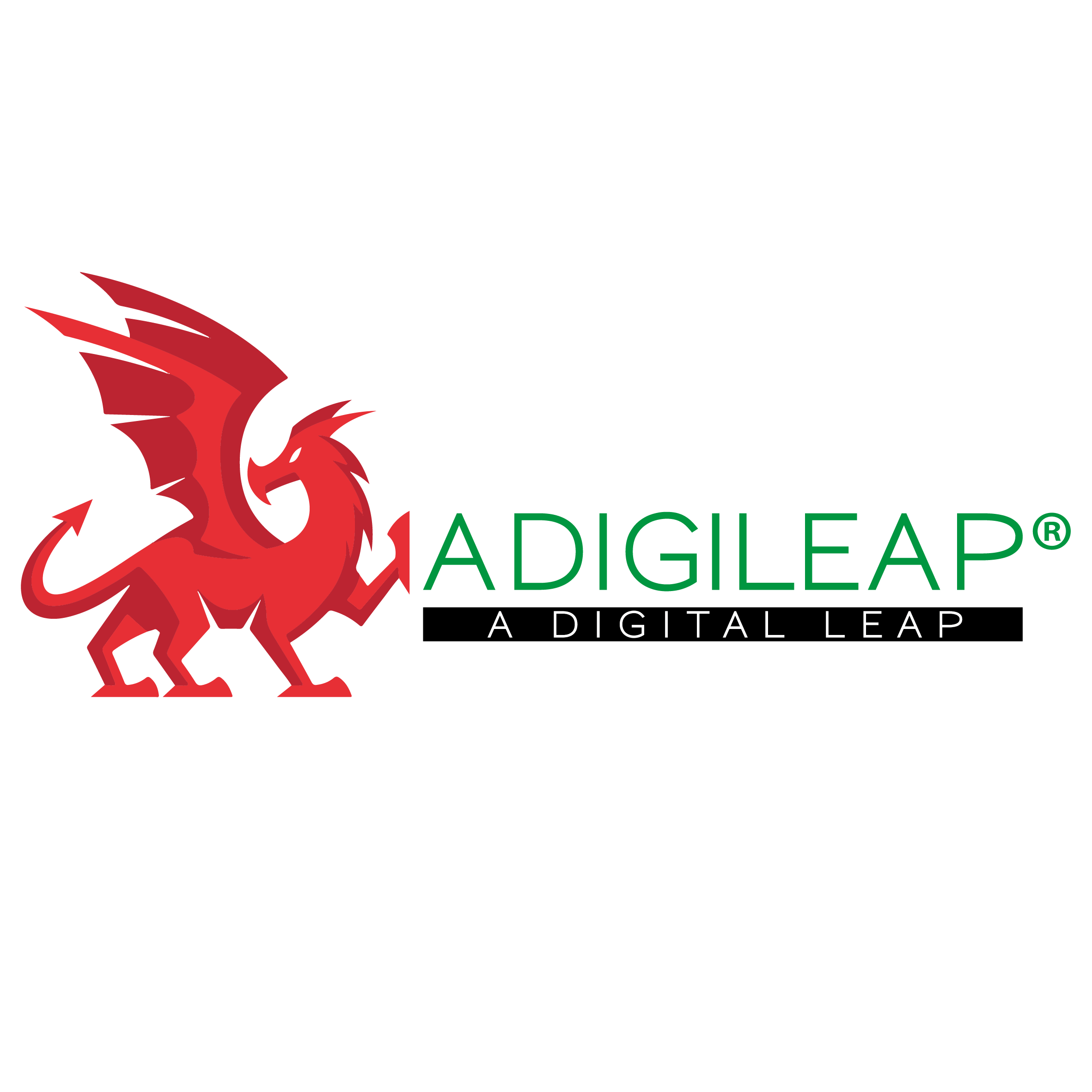 A DIGITAL LEAP