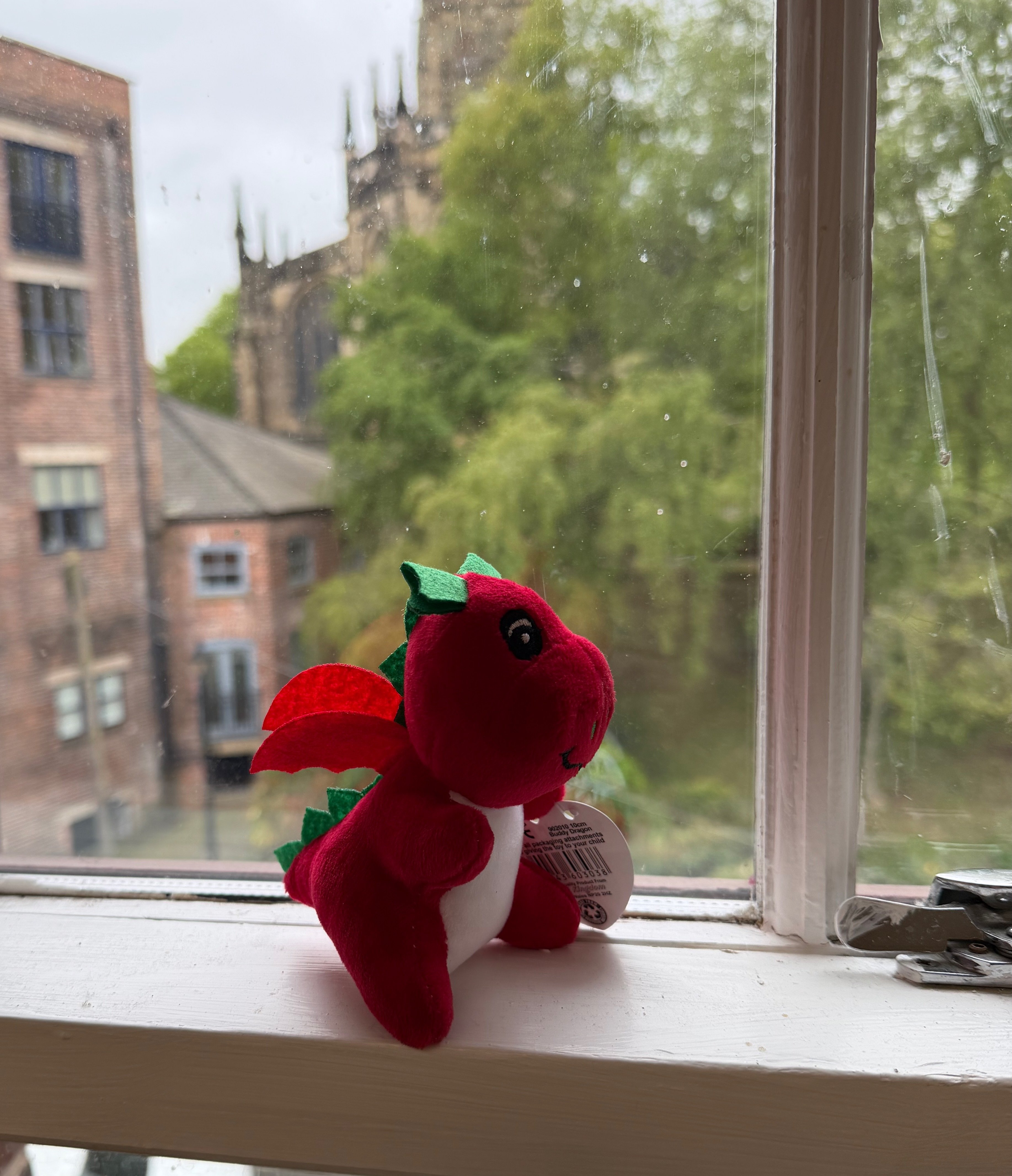 Digi dragon on a windowsill