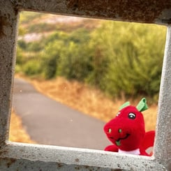 Digi the red dragon looking at the viewer from behind a camera