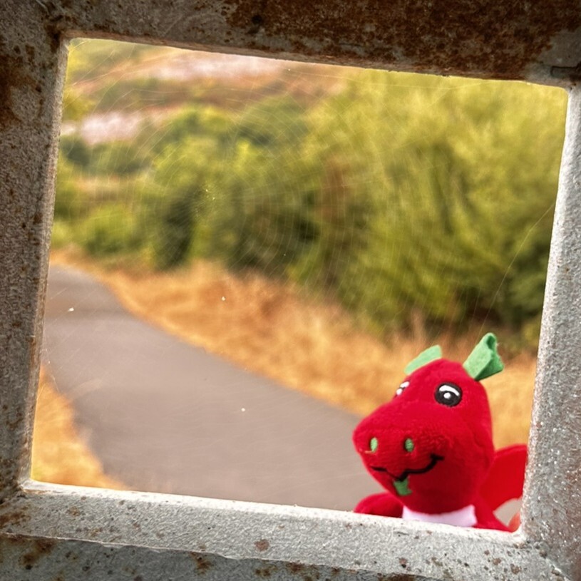Digi does... Graig Fawr!